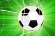 © Tomasz Zajda - Soccer Ball in a Net