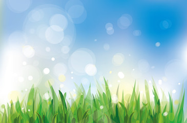 Wall Mural - vector of spring background, sky and grass.