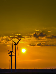 Wall Mural - Wind farm