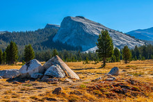 Tuolumne Meadows In Summer, Yosemite National Park.