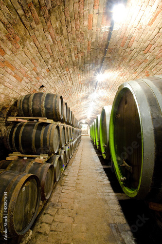 Nowoczesny obraz na płótnie wine cellar, Czech Republic