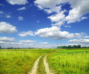 Wall Mural - field