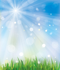 Wall Mural - vector of spring background, sky and grass.