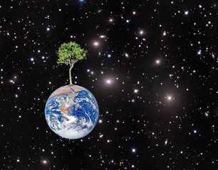Wall Mural - Earth.Elements of this image furnished by NASA