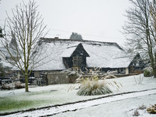 Snow On A Thatched Roof