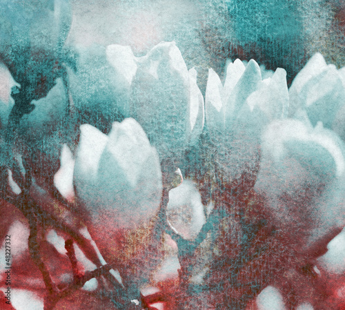 Naklejka dekoracyjna magnolien textur retro
