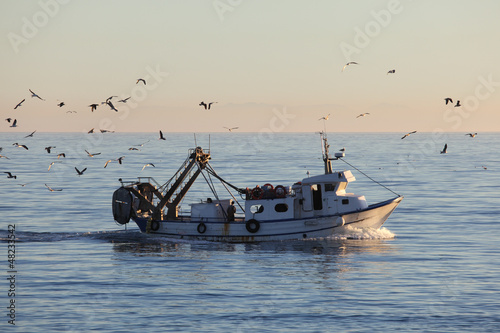 Fototapeta na wymiar Fishing boat returning to home harbor with lots of seagulls