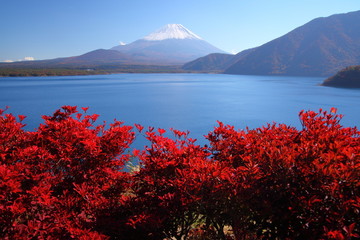 Wall Mural - Mt. Fuji and Lake Motosu in autumn, Japan