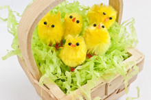 Cute Yellow Easter Chicks In A Basket.