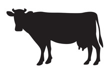 Cow Silhouette Isolated On White