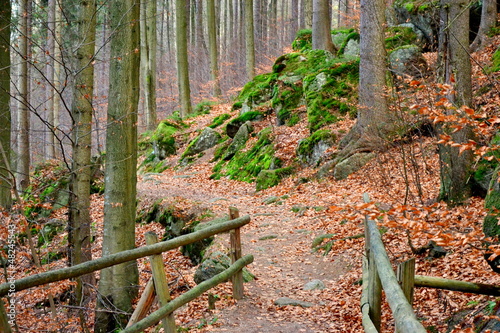 Fototapeta na wymiar Karkonoski Park Narodowy