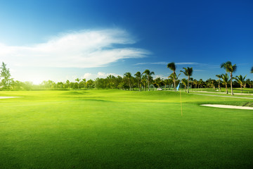 Wall Mural - golf course