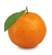 one tangerine