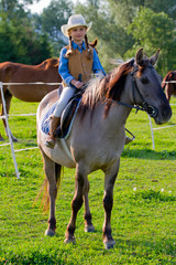 Horse riding - lovely girl is riding on a horse