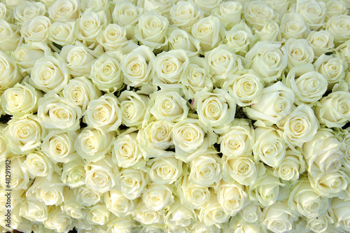 Naklejka - mata magnetyczna na lodówkę Group of white roses, wedding decorations