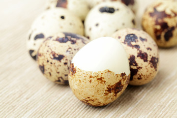 Poster - quail egg