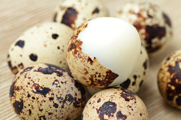 Poster - quail egg