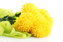 Bouquet Of Bright Yellow Chrysanthemums Flowers