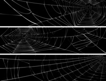 Horizontal Banner Of Web Of Spider.