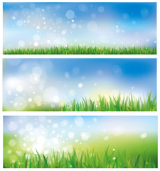 Wall Mural - vector of spring background, sky and grass.