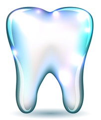 Wall Mural - White tooth isolated on a white background.