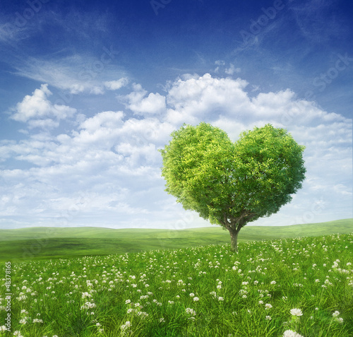 Obraz w ramie Tree in the shape of heart, valentines day background,