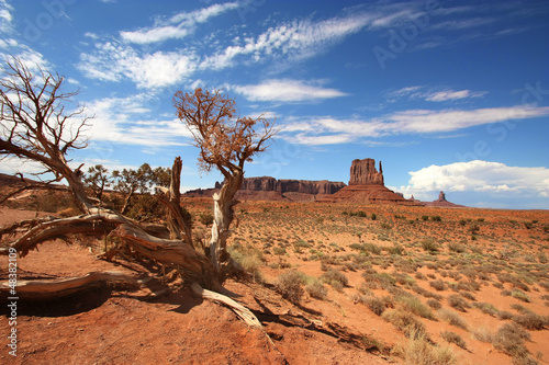 Foto-Leinwand ohne Rahmen - Monument Valley (von Brad Pict)