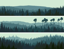 Horizontal Banners Of Hills Coniferous Wood.