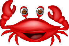 Funny Crab Cartoon