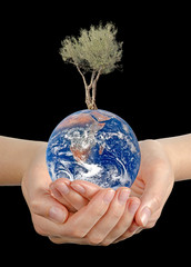 Wall Mural - Gift of Earth.Elements of this image furnished by NASA