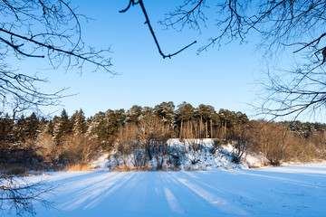 frozen river and trees in winter season