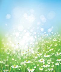 Wall Mural - vector of spring background