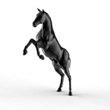 Illustration Of A Black Horse Isolated On A White Background