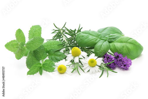 Naklejka - mata magnetyczna na lodówkę Mixed Herbs on white background