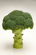 Broccoli On White Background