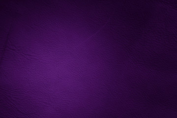 Canvas Print - purple leather