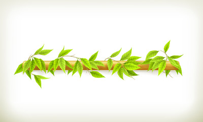 Wall Mural - Foliage banner