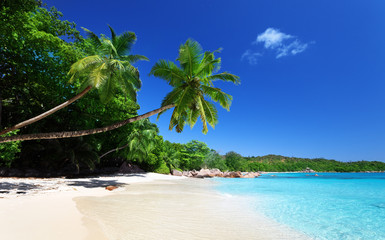 Wall Mural - anse lazio beach at praslin island, seychelles