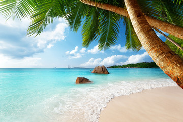 Fotomurali - Anse Lazio beach on Praslin island in Seychelles