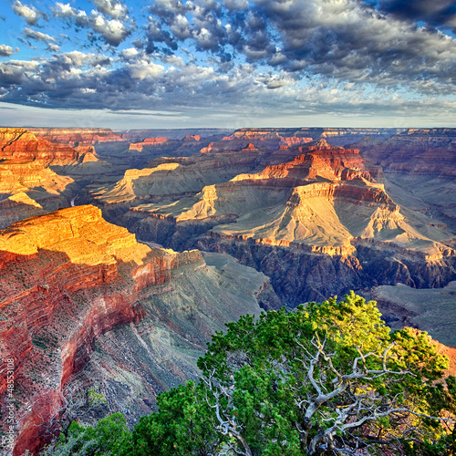 Obraz w ramie morning light at Grand Canyon