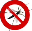 Interdiction aux moustiques