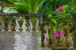 Tropischer Garten mit alter Steinmauer