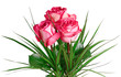 Bouquet  rose