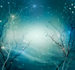Wall Mural - winter nature abstract background. fantasy backdrop