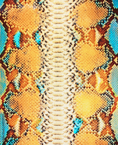Obraz w ramie Snake skin background