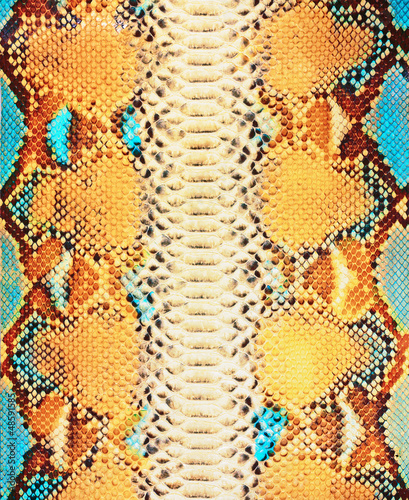 Naklejka na drzwi Snake skin background