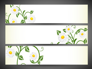 Wall Mural - Floral decorated website header and banner set. EPS 10.
