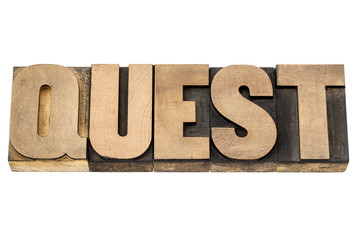 Wall Mural - quest word in wood type