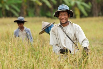 Happy thai farmer