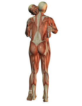 Menschliche Anatomie bei einer Umarmung